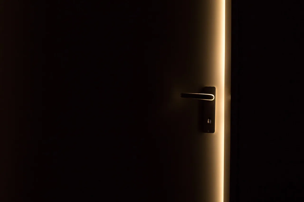 Papaiz Storm Door Lock?
